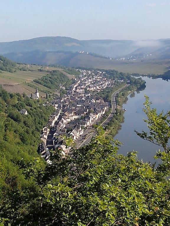 Weingut Goeres Hotel Бридел Екстериор снимка
