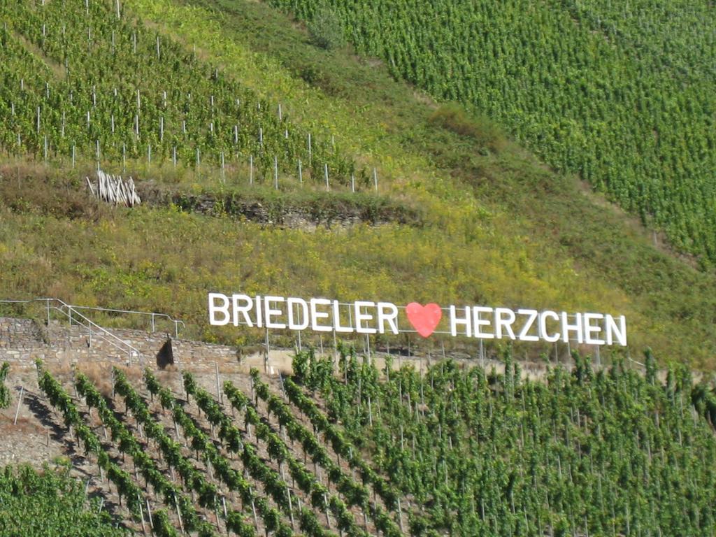 Weingut Goeres Hotel Бридел Стая снимка