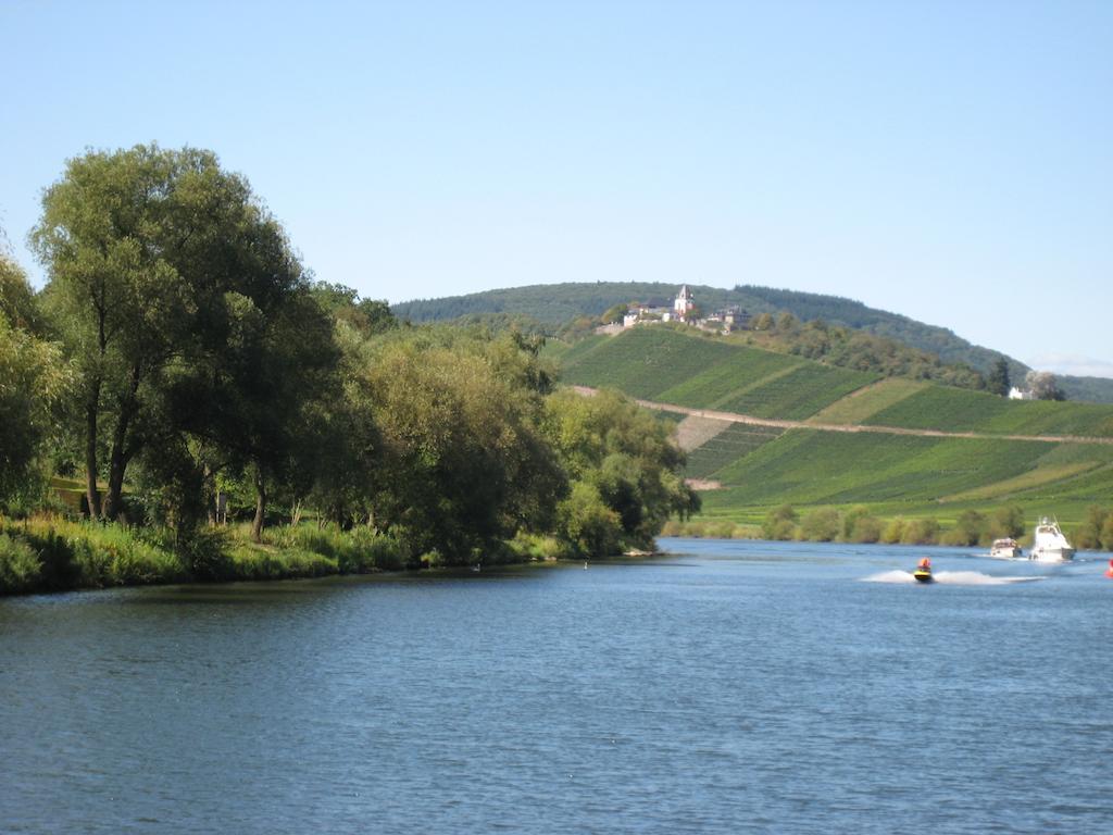 Weingut Goeres Hotel Бридел Екстериор снимка